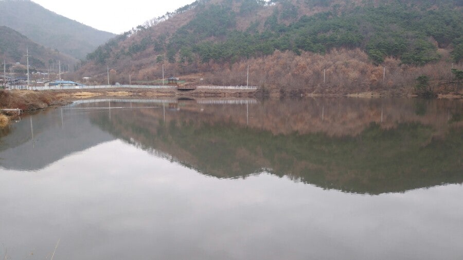 오독지 사진 2
