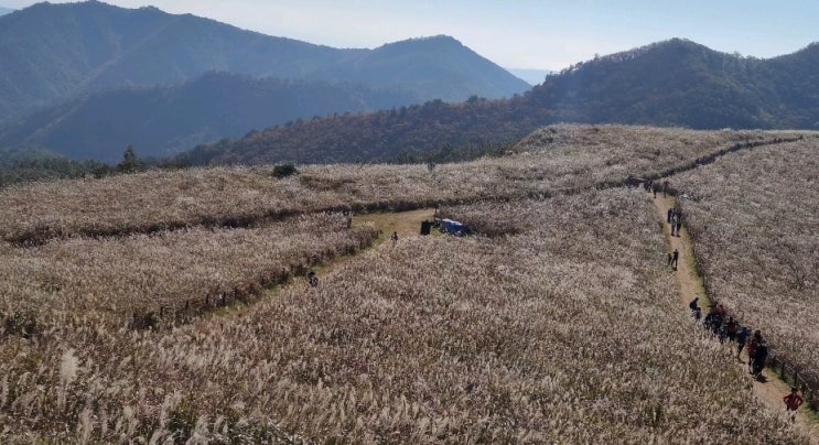  2020년 가을 경주 동대봉산 무장봉 억새군락지