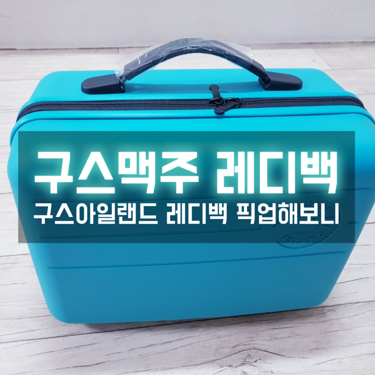  덕덕구스 구스아일랜드 레디백 아직도 픽업가능? (+구매링크)