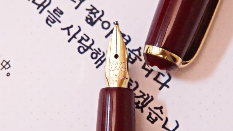  낮이 조금 더 짧아졌습니다 (몽블랑 254 F닙)