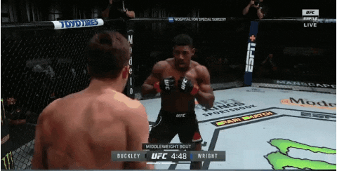 UFC 255: 피게이레두 vs 페레스 리뷰(GIF) - 남녀 플라이급 전선 이상 無