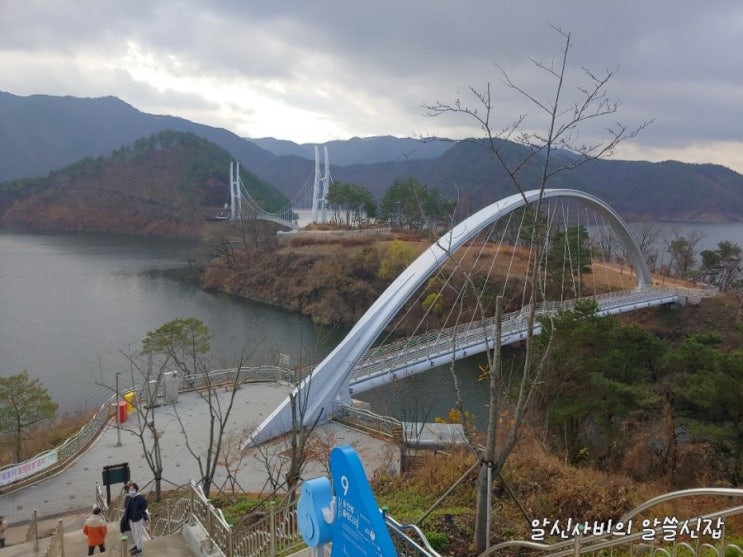  [대구아이와갈만한곳]주말 영주댐영주호 용마루공원 용천루출렁다리 영주당일여행길