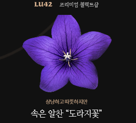  꽃 mbti : 나는 도라지꽃