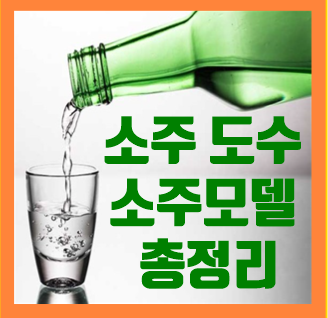  참이슬 도수vs처음처럼 도수, 소주도수 비교