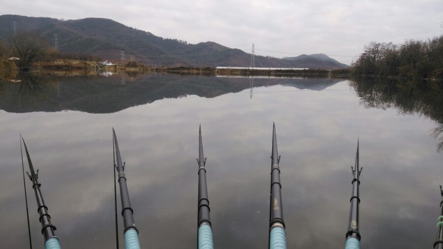 오독지 사진 4