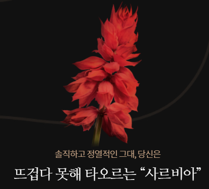  [MBTI] 당신은 어떤 꽃인가요?