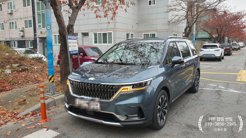 부산 강서구 / PPF / 기아 / 카니발