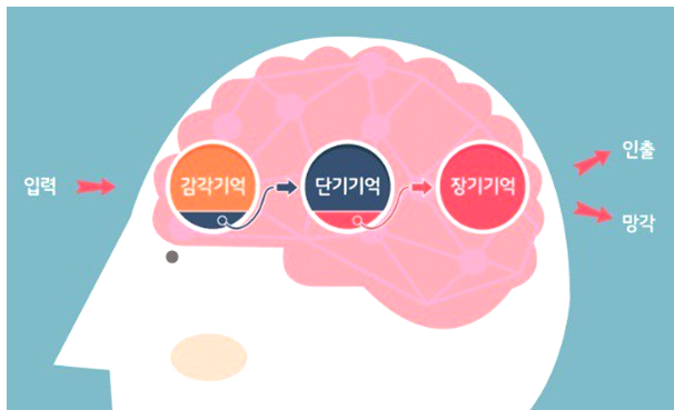  당신의 기억력 점점 사라지나요? 기억력을 생생하게 유지시켜 주는 비결