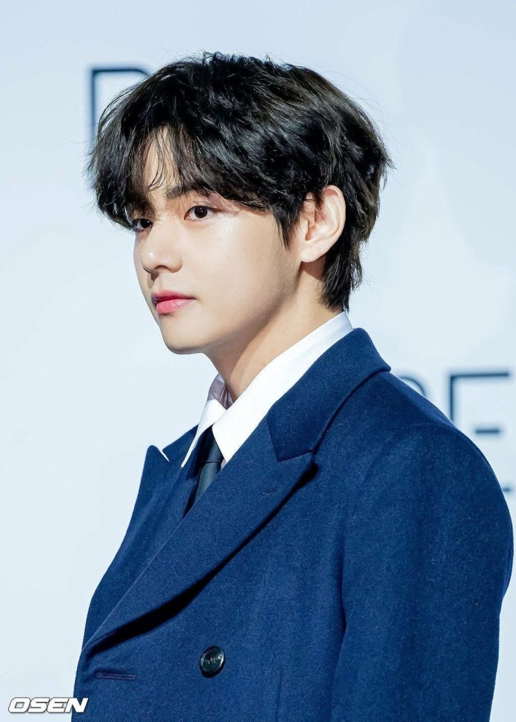  뷔가 번아웃 후에 만든 노래 Blue & Grey