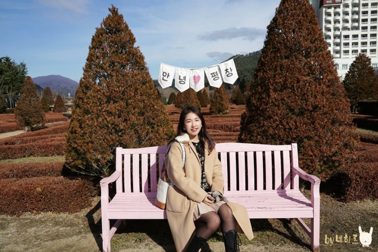 국내 1박2일 여행 켄싱턴호텔 평창 호캉스