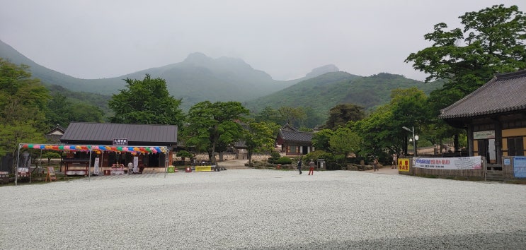  해남 사찰 두륜산 대흥사 힘들었어요