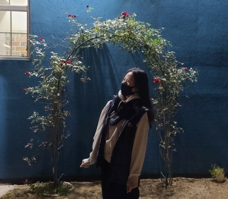  [일상 블로그] 먹고 놀기 좋았던 11월 둘째 주 일기