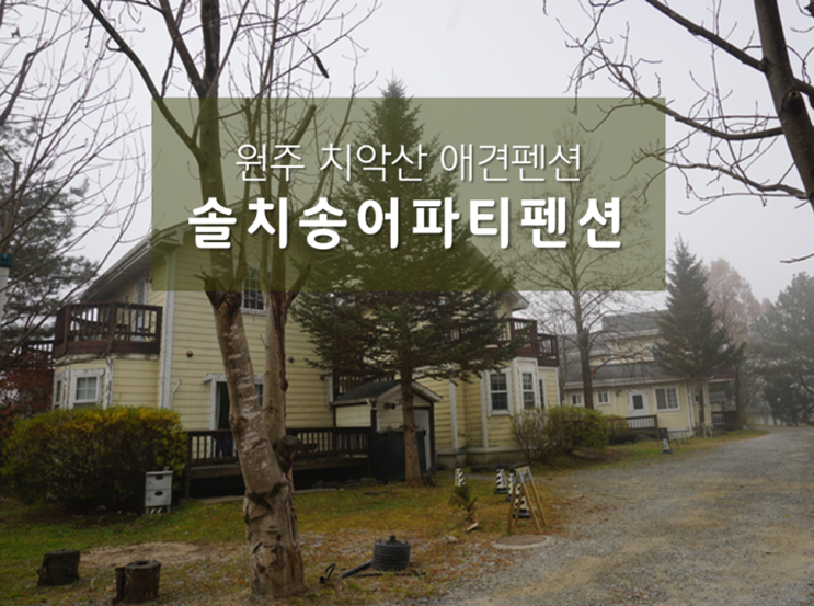  원주애견펜션 솔치송어파티펜션 후기 : 자연 속 힐링할 수 있는 산장