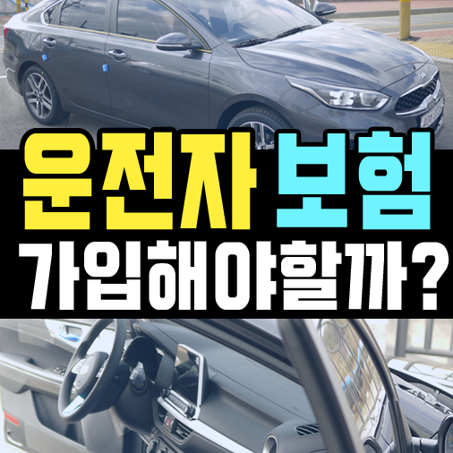  장기렌트카 고객도 운전자 보험  가입해야하나요?