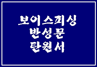  보이스피싱 반성문 탄원서 (전자금융거래법 위반)
