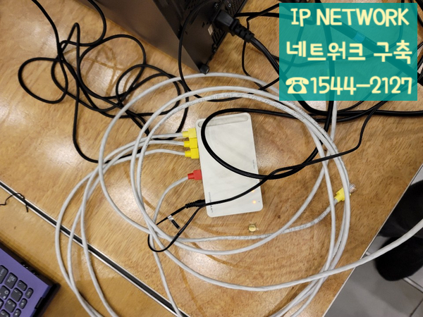  [경기 수원시] 랜선 구축 / 1회선 랜선 포설 / 최저가 네트워크 구축 전문 업체