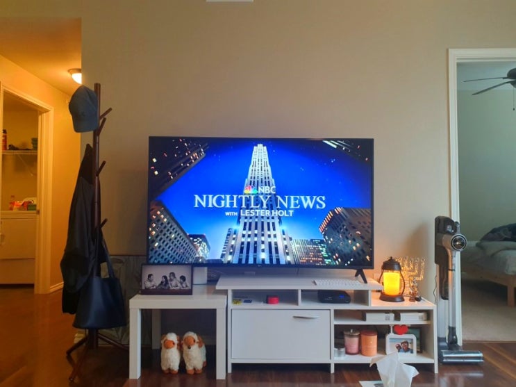  미국서 내돈내산 첫티비! LG UHD TV 65인치 리뷰
