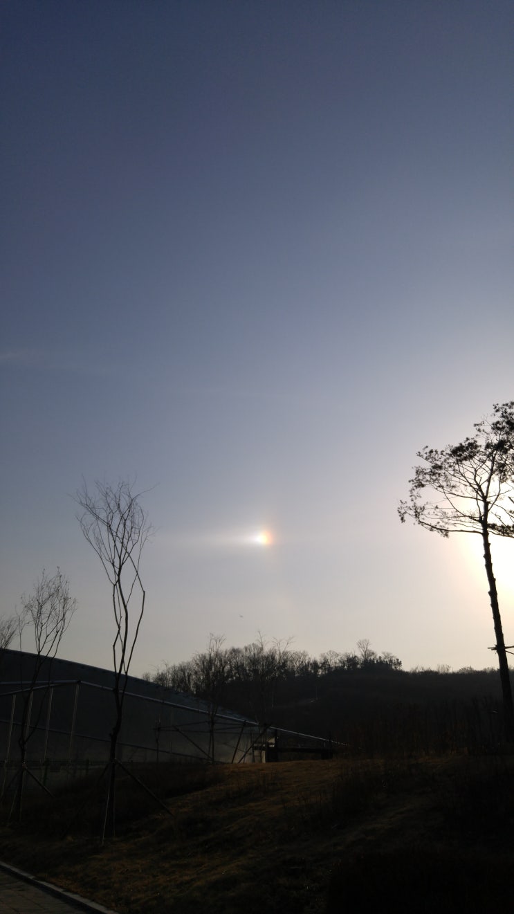  환일현상 목격한 사진 올려보아요