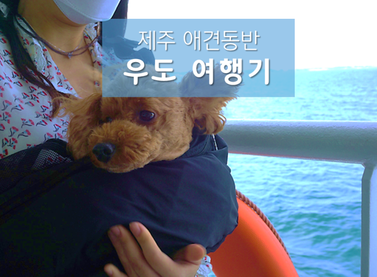 애견동반 우도 당일치기 여행기 : 파도소리해녀촌, 우도등대공원, 산초해수욕장