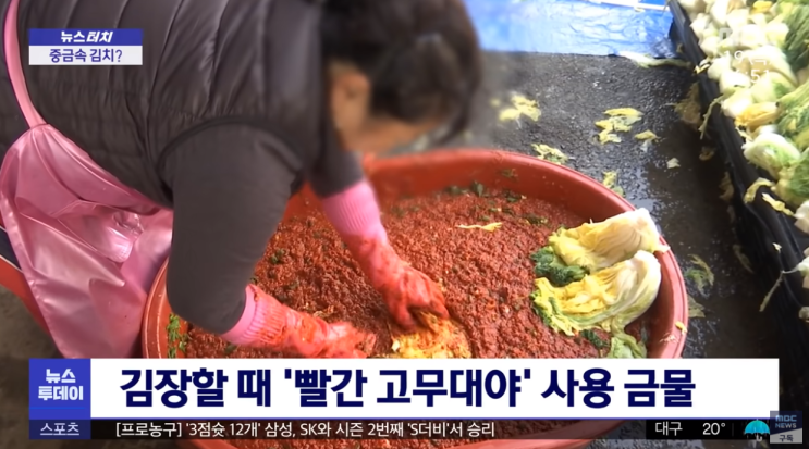  빨간 고무대야 김장 주의사항 식품용
