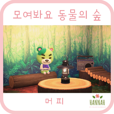 모여봐요 동물의 숲 일반 주민: 머피 (꼬마곰)