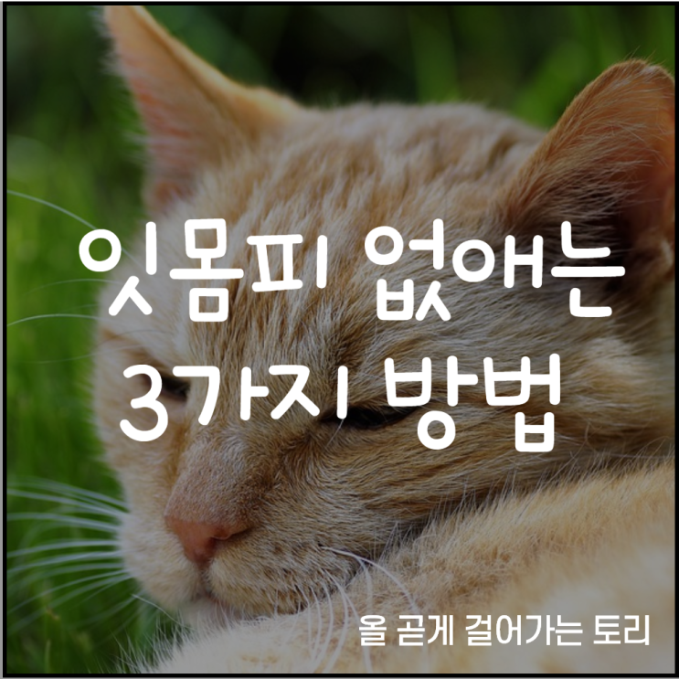  잇몸피 줄일 수 있는 3가지 방법 및 영양제추천