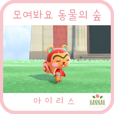 모여봐요 동물의 숲 일반 주민: 아이리스 (다람쥐) 모여봐요 동물의 숲 일반 주민: 아이리스 (다람쥐)