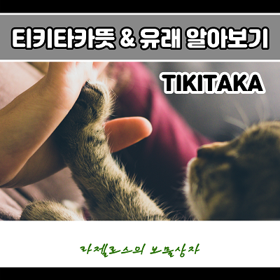  티키타카뜻 어떤 의미일까요?