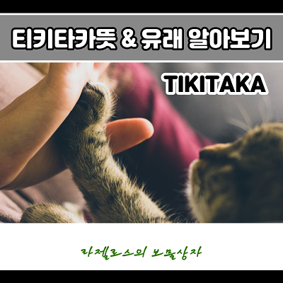 티키타카뜻 어떤 의미일까요?