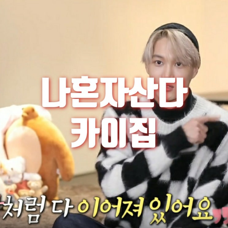  나혼자산다 카이 공원 집 토끼???