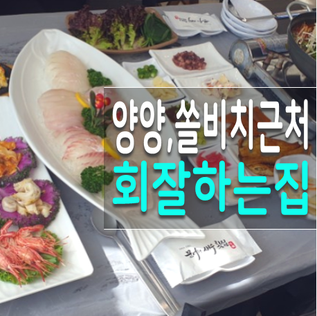  유명한 강원도 양양 횟집, 양양쏠비치 수산항 근처 문어랑새우횟집