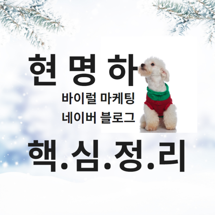  네이버 블로그 광고 잘 선택하는 방법