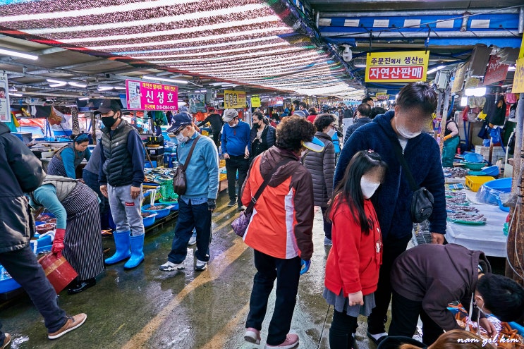 오징어와 한치가 풍성한 주문진항 어민수산시장