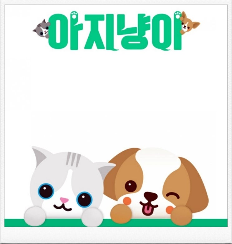 반려동물 필수앱 아지냥이 (강아지 고양이 간식 할인 쿠폰)