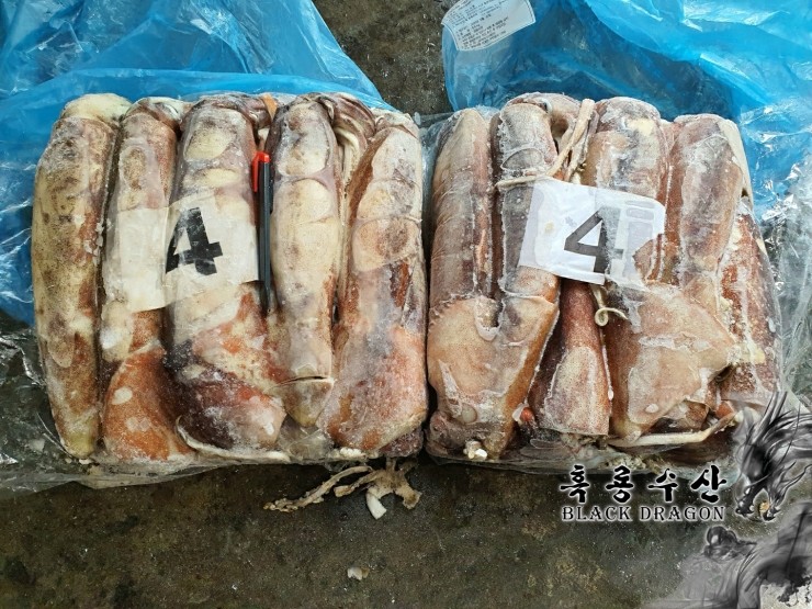  선동 포크오징어 L (400g/600g, 스페인) _ Feat. 흑룡수산