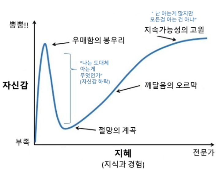 "더닝크루거 효과" (Dunning-Kruger Effect)