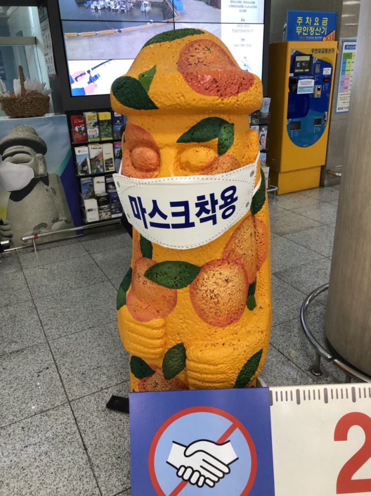 2020년 8월 제주도 여행