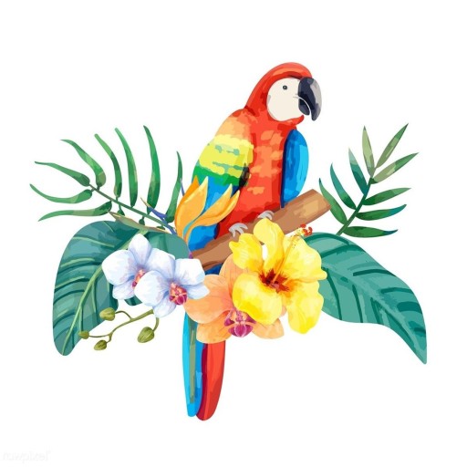  새 한 마리(A bird)