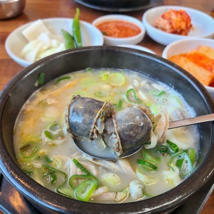  원곡맛집 찬바람날때 먹기좋은 뜨끈한 김재철 순대국