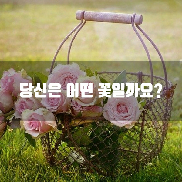  꽃 심리테스트 꽃 MBTI 당신은 어떤 꽃 인가요