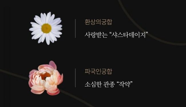 꽃 MBTI 마이웨이 라넌큘러스 모이세요 꽃 MBTI 마이웨이 라넌큘러스 모이세요