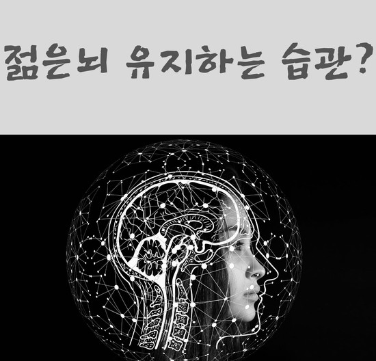  젊은 뇌 유지하는 습관?
