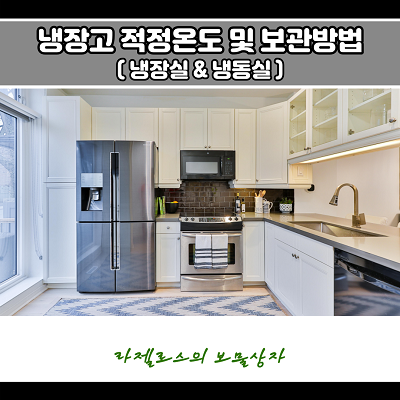  냉장실 냉동실 적정온도 확인 및 효율적인 보관방법
