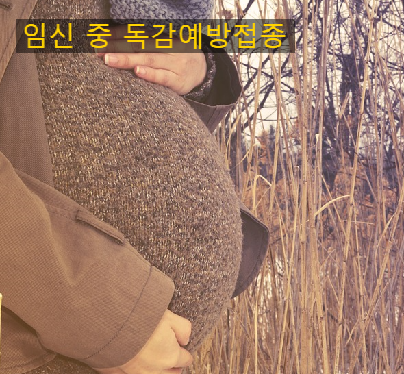  임신 중에 독감예방 접종을 해야 되나요?
