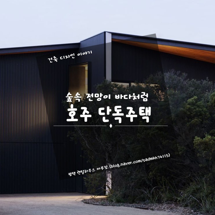  바다 물결처럼 숲속 전망이 펼쳐진 호주 단독주택