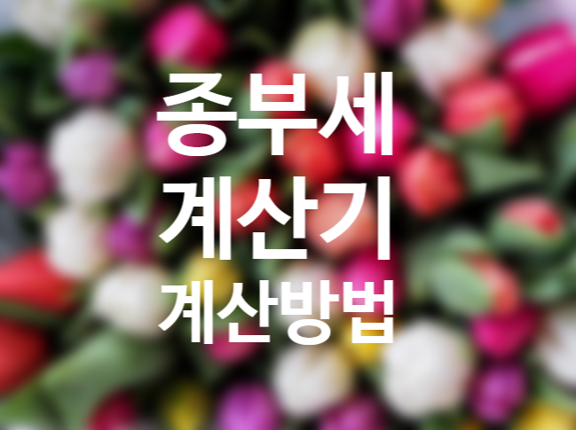 종부세 계산기로 예상세액 확인 방법 (종부세율 부부 공동명의 1가구 2주택) 종부세 계산기로 예상세액 확인 방법 (종부세율 부부 공동명의 1가구 2주택)