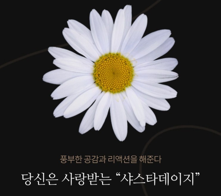  꽃으로 알아보는 나의 성향 테스트