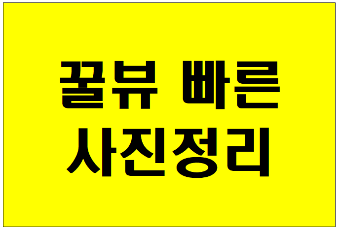  꿀뷰다운로드 정말 빠른 사진정리