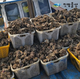  통영굴 제철에 집에서 싱싱하게 먹을 수 있어요~