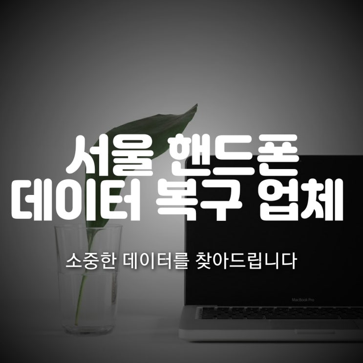 서울 핸드폰 복구 삼성 갤럭시 LG 아이폰 삭제된 휴대폰 데이터 복원/ 카톡 문자 음성녹음 연락처 통화기록 포렌식 업체~
